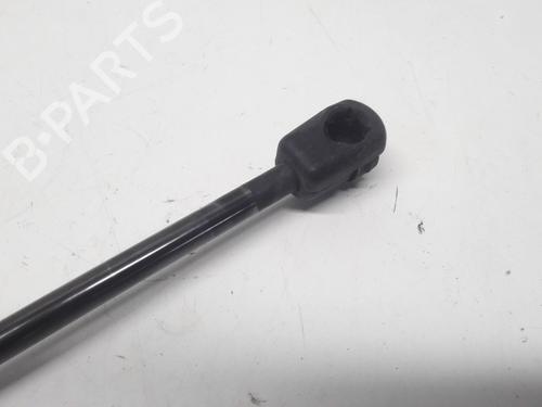 Tailgate lift support FORD FIESTA VI (CB1, CCN) 1.25 | BP13153353C138 
