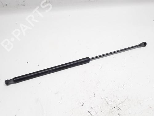 Used Tailgate lift support NISSAN QASHQAI / QASHQAI +2 I (J10, NJ10, JJ10E) 2.0 dCi (150 hp) 13152613