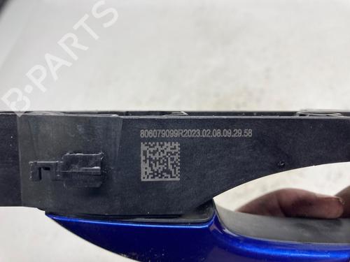 Rear left exterior door handle DACIA SANDERO III 1.0 TCe 100 ECO-G | BP18846896C130 