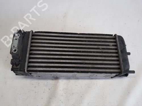 Intercooler DS DS 4 / DS 4 CROSSBACK (NX_) 1.6 THP 165 | BP28615363M30 