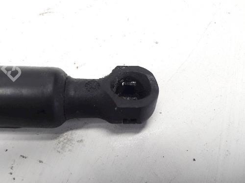 Tailgate lift support RENAULT CLIO IV (BH_) 0.9 TCe 90 (BHNF, BHMA, BHMH, BHJK, BHJR) | BP13153093C138 