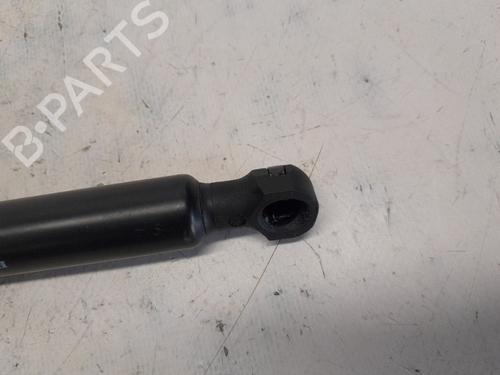 Tailgate lift support DACIA SANDERO II TCe 90 (B8M1, B8MA, B8AC) | BP20850942C138 