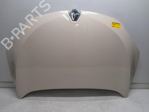 Capot RENAULT MEGANE CC (EZ0/1_) 1.5 dCi (EZ09, EZ1G, EZ0D, EZ14) (110 hp) 30690808
