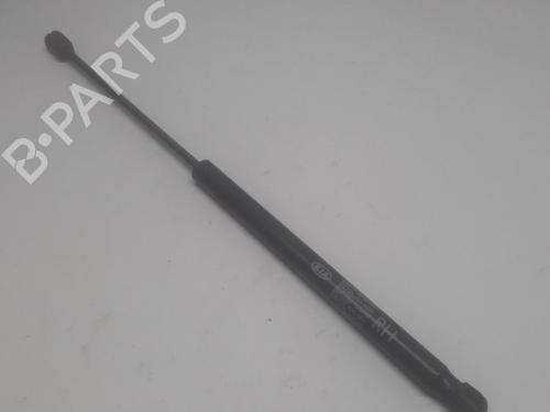 Used Tailgate lift support KIA PICANTO I (SA) 1.1 (65 hp) 13154368