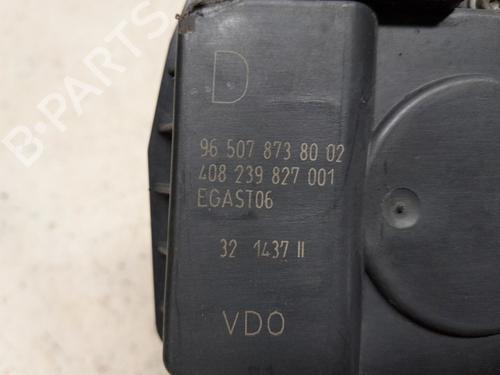 Throttle body CITROËN C4 Picasso I MPV (UD_) 1.8 i 16V | BP30160067M82