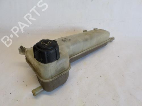 Used Expansion tank RENAULT KANGOO (KC0/1_) 1.2 (KC0A, KC0K, KC0F, KC01) (58 hp) 11064029