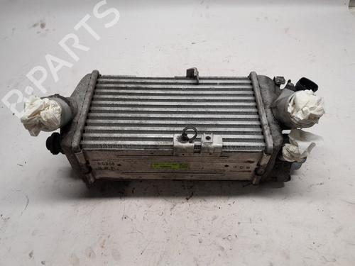 Used Intercooler Intercooler KIA RIO IV (YB, SC, FB) 1.0 T-GDI 100 (101 hp) 23436328 23436328