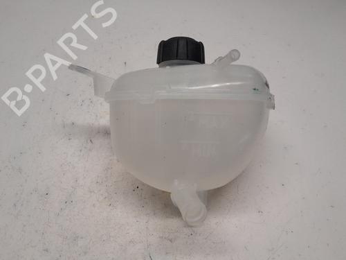 Used Expansion tank RENAULT AUSTRAL E-TECH 200 Hybrid (HGM2) (199 hp) 18900282