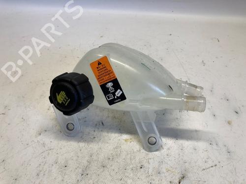 Used Expansion tank RENAULT AUSTRAL E-TECH 200 Hybrid (HGM2) (199 hp) 18900358