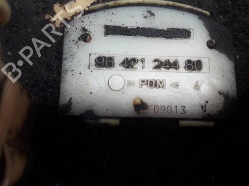 Fuel pump PEUGEOT 206 Hatchback (2A/C) 1.4 HDi eco 70 | BP13153307M76 