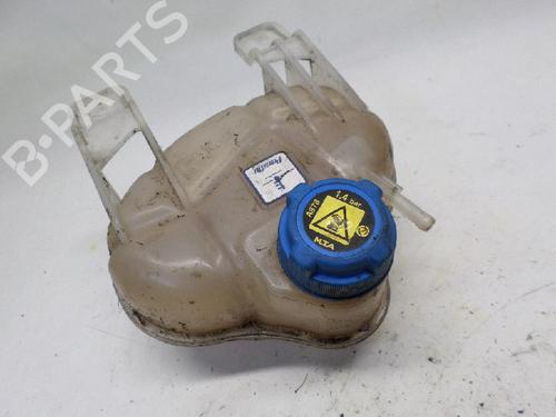 Expansion tank FIAT GRANDE PUNTO (199_) 1.4 (199AXB11, 199AXB1A, 199BXB1A, 199AXL1A) | BP11065957C120