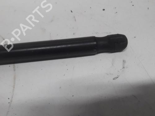 Tailgate lift support FORD FIESTA VI (CB1, CCN) 1.0 | BP13153549C138 
