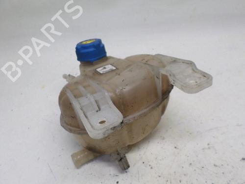 Used Expansion tank FIAT GRANDE PUNTO (199_) 1.4 (199AXB11, 199AXB1A, 199BXB1A, 199AXL1A) (77 hp) 11065957