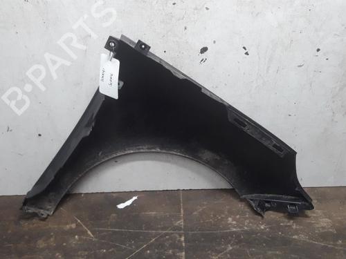 Left front fenders RENAULT SCÉNIC III (JZ0/1_) 1.6 16V (JZ0U, JZ1B) | BP11074994C41 