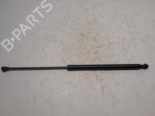 Hood lift support DACIA SANDERO II TCe 90 (B8M1, B8MA, B8AC) | BP20850888C139 