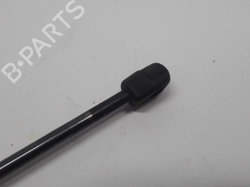 Tailgate lift support VW GOLF VI (5K1) 1.6 TDI | BP13153468C138 
