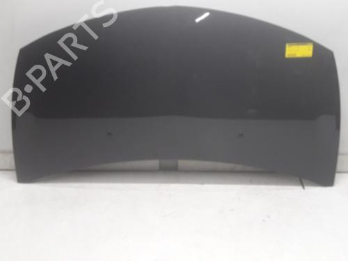 Used Hood RENAULT CLIO III (BR0/1, CR0/1) 1.4 16V (98 hp) 11076675