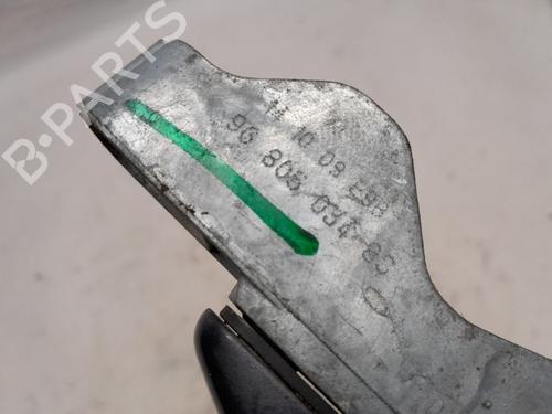 Rear right exterior door handle CITROËN C4 Picasso I MPV (UD_) 1.6 VTi 120 | BP25749321C130 