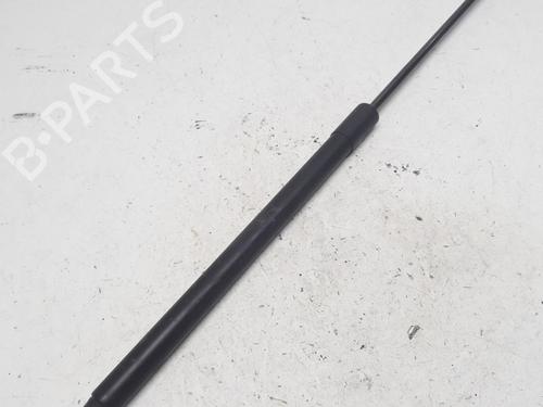Used Tailgate lift support FORD FIESTA VI (CB1, CCN) 1.25 (82 hp) 13153353