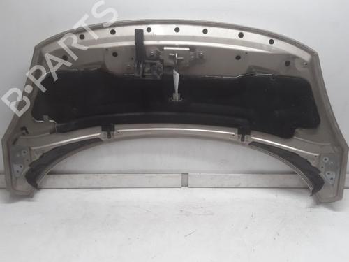 Hood RENAULT SCÉNIC III (JZ0/1_) 2.0 dCi (JZ0Y, JZ26) | BP11080995C1