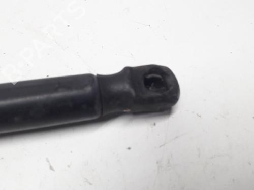 Tailgate lift support OPEL CORSA D (S07) 1.3 CDTI (L08, L68) | BP13153235C138 