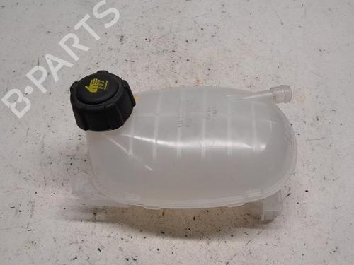 Used Expansion tank DACIA SANDERO III 1.0 TCe 100 ECO-G (101 hp) 18846932
