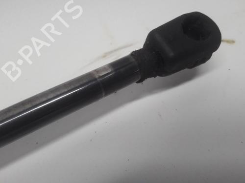 Tailgate lift support VW TRANSPORTER T5 Van (7HA, 7HH, 7EA, 7EH) 2.5 TDI | BP13153583C138 