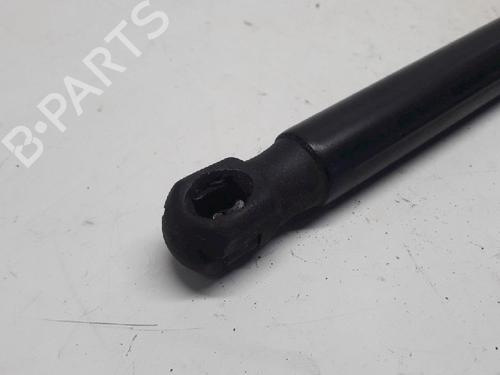 Tailgate lift support FORD FIESTA VI (CB1, CCN) 1.4 | BP13153107C138 