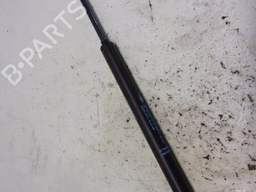 Used Tailgate lift support CITROËN C3 I (FC_, FN_) 1.4 i Bivalent (73 hp) 13151907