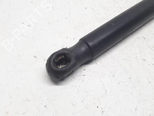 Tailgate lift support FORD FIESTA VI (CB1, CCN) 1.25 | BP13153353C138 