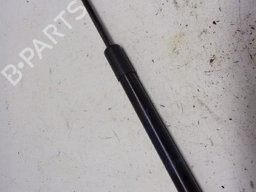 Used Tailgate lift support RENAULT TWINGO II (CN0_) 1.2 16V (CN04, CN0B) (75 hp) 13151799
