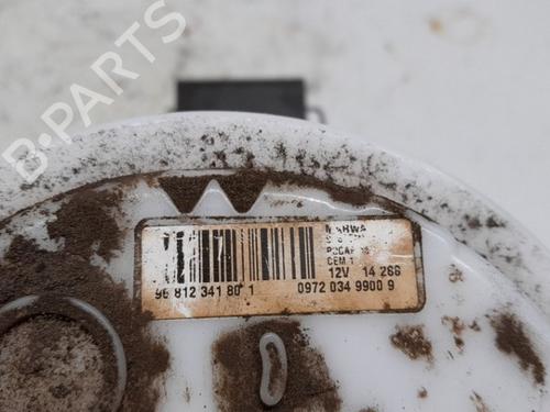 Fuel pump PEUGEOT 3008 I MPV (0U_) 1.6 VTi | BP16171348M76 