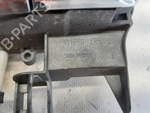 Rear right exterior door handle CITROËN C3 II (SC_) 1.6 HDi | BP29633667C130 