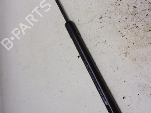Used Tailgate lift support RENAULT CLIO IV (BH_) 0.9 TCe 90 (BHNF, BHMA, BHMH, BHJK, BHJR) (90 hp) 13151841