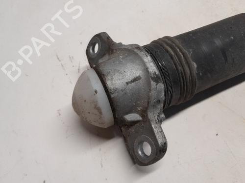 left-rear-shock-absorber-skoda-scala-nw1-2019-24458863 main image