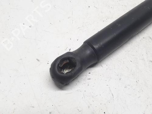 Tailgate lift support FORD FIESTA VI (CB1, CCN) 1.25 | BP13153354C138 