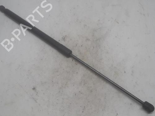Tailgate lift support FIAT TIPO Estate (356_, 357_) 1.5 T4 Hybrid | BP13154923C138