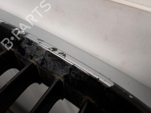 Hood BMW X5 (E53) 3.0 d | BP18849547C1 