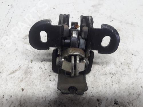 Hinge/Door check strap DACIA LOGAN MCV (KS_) 1.6 (KS0B, KS0D, KS0F) | BP13153077C146 