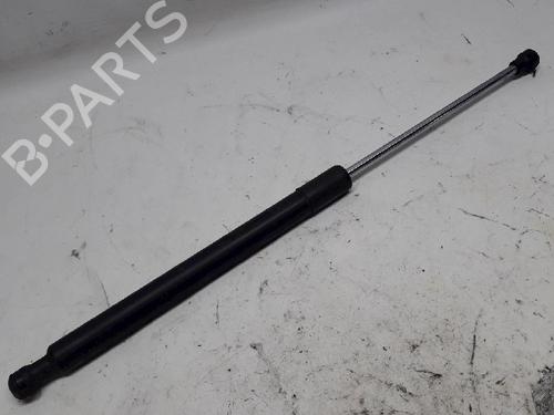 Used Tailgate lift support RENAULT CLIO III (BR0/1, CR0/1) 1.2 16V (BR0P, CR0P) (101 hp) 13152486
