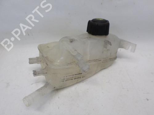 Used Expansion tank RENAULT MEGANE III Hatchback (BZ0/1_, B3_) 1.5 dCi (BZ09, BZ0D, BZ1W, BZ29, BZ14) (110 hp) 11065186
