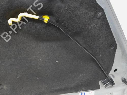 Hood PEUGEOT 308 I (4A_, 4C_) 1.6 16V | BP15970044C1