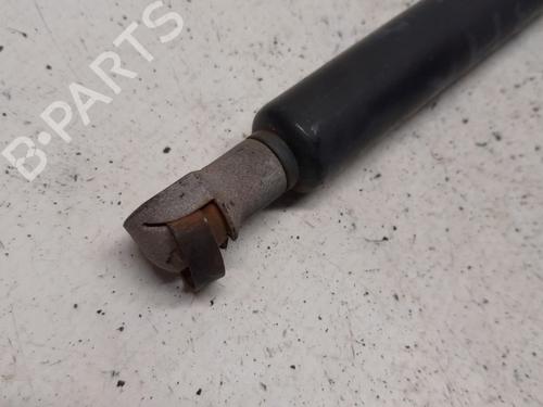 Tailgate lift support BMW X5 (E53) 3.0 d | BP13626406C138 