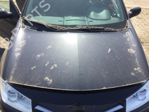 Used Hood RENAULT MEGANE II (BM0/1_, CM0/1_) 2.0 16V (BM0U, CM0U) (135 hp) 18849674