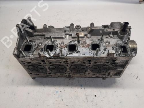 Cylinder head FIAT PUNTO EVO (199_) 1.3 D Multijet | BP20313792M5 