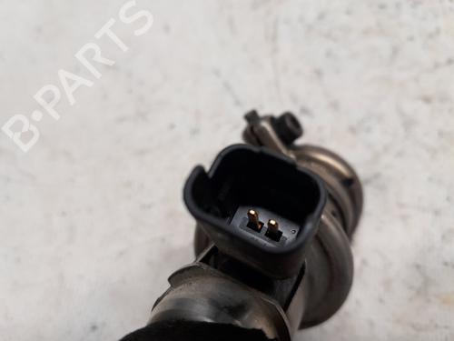 Injector CITROËN C3 II (SC_) 1.6 BlueHDi 75 | BP29738882M100
