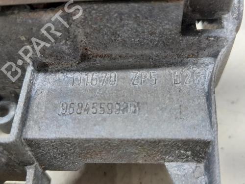 Rear right exterior door handle PEUGEOT 3008 I MPV (0U_) 1.6 VTi | BP12594216C130 