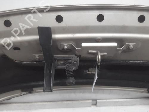 Hood RENAULT SCÉNIC III (JZ0/1_) 2.0 dCi (JZ0Y, JZ26) | BP11080995C1