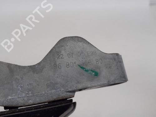 Front left exterior door handle CITROËN C4 Picasso I MPV (UD_) 1.6 16V | BP15794786C128 