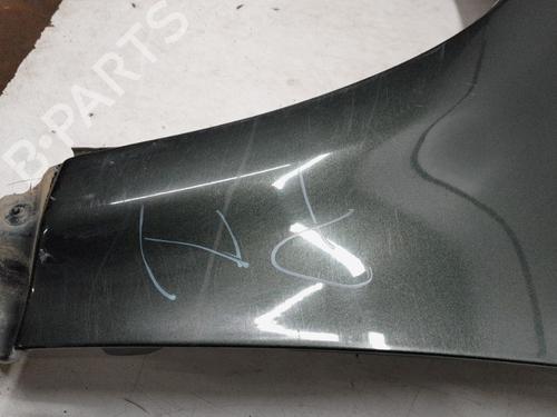 Left front fenders LAND ROVER FREELANDER 2 (L359) 2.2 TD4 4x4 | BP21117844C41 
